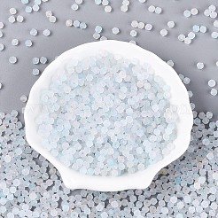 Frosted Glass Seed Beads&nbsp;SEED-N012-01B