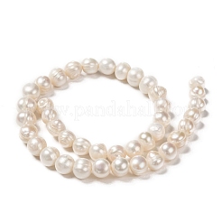 Natural Cultured Freshwater Pearl Beads Strands&nbsp;PEAR-L001-G-14