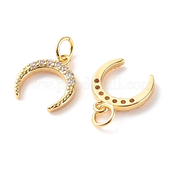 Brass Micro Pave Clear Cubic Zirconia Pendants&nbsp;ZIRC-P094-24G-RS