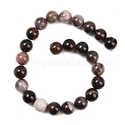 Natural Petrified Wood Beads Strands&nbsp;G-L648-A03-16mm-02