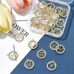 24Pcs 12 Styles Zinc Alloy Crystal Rhinestone Pendants&nbsp;FIND-FS0004-40