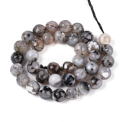 Dyed & Heated Natural Fire Crackle Agate Beads Strands&nbsp;G-N359-01B-04