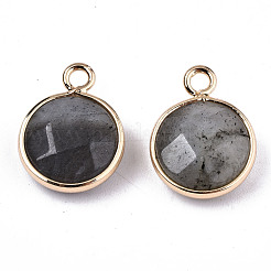Gemstone Pendants&nbsp;G-T131-101