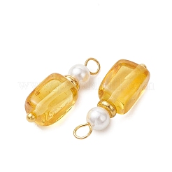 Natural Amber Pendants&nbsp;PALLOY-JF05594-01