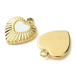 Ion Plating(IP) 304 Stainless Steel Pave Shell Pendants&nbsp;FIND-Z028-11G