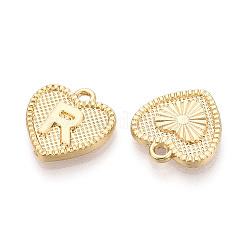 Alloy Pendants&nbsp;PALLOY-N157-001R-NR