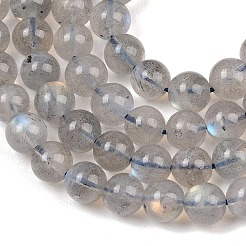 Natural Labradorite Beads Strands&nbsp;G-H337-A02-03