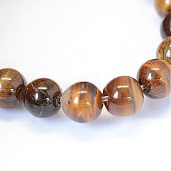 Grade AB Natural Tiger Eye Round Bead Strands&nbsp;G-E334-12mm-17