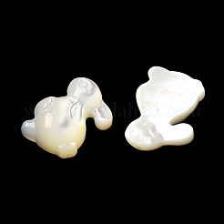 Natural White Shell Cabochons&nbsp;SSHEL-M022-15