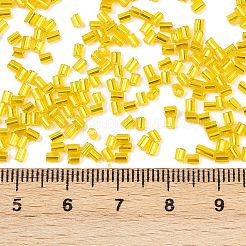 Two Cut Glass Seed Beads&nbsp;CSDB30