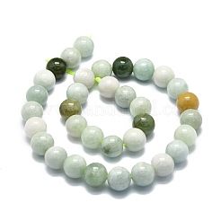 Natural Myanmar Jade Beads Strands&nbsp;G-E576-08B