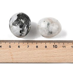 Natural Rainbow Moonstone Beads&nbsp;G-G348-01B-36