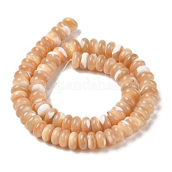 Natural Trochus Shell Beads Strands&nbsp;SHEL-P017-07