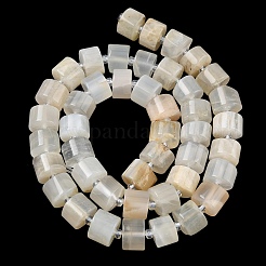 Natural White Moonstone Beads Strands&nbsp;G-C270-I09-01