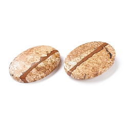 Natural Picture Jasper Cabochons&nbsp;G-D478-03D-01