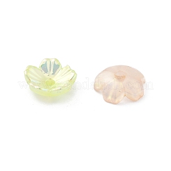 Acrylic Bead Caps&nbsp;PACR-B003-05