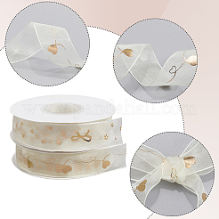 2 Rolls 2 Styles Chiffon Lace Trim for Sewing Decoration&nbsp;OCOR-CY0001-65A