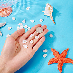 26Pcs 26 Styles Natural Shell Teardrop Charms with Golden Tone Metal Letter Slices&nbsp;SHEL-TAC0004-02