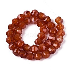 Dyed Natural Agate Beads Strands&nbsp;G-T144-50A-04