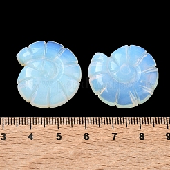 Opalite Conch Display Decorations&nbsp;DJEW-D303-01D