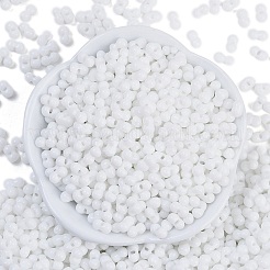 Baking Paint Glass Seed Beads&nbsp;SEED-K010-A01