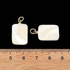 Natural Trochid Shell/Trochus Shell Pendans&nbsp;PALLOY-JF05925