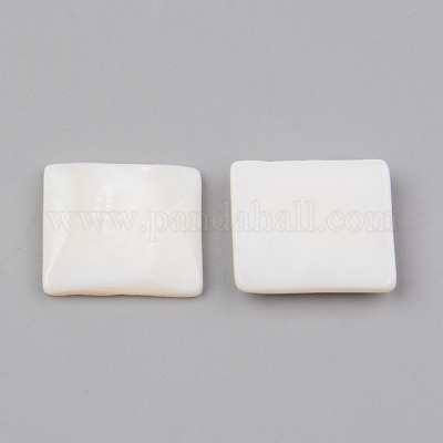 Natural Freshwater Shell Cabochons&nbsp;SHEL-R049-019-1