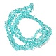 Transparent Glass Beads Strands&nbsp;GLAA-P060-01C-19-2