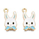 Alloy Pendants&nbsp;X-ENAM-S119-045B-02-2