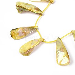 AB Color Plated Dyed Natural Freshwater Shell Beads Strands&nbsp;SHEL-T020-55D