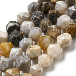 Natural Bamboo Leaf Agate Beads Strands&nbsp;G-NH0012-B02-02