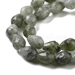 Natural Labradorite Beads Strands&nbsp;G-P520-B05-01