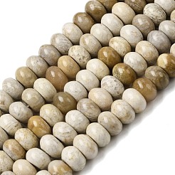 Natural Fossil Coral Beads Strands&nbsp;G-A280-A08-02