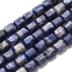 Natural Sodalite Beads Strands&nbsp;G-R015-A03