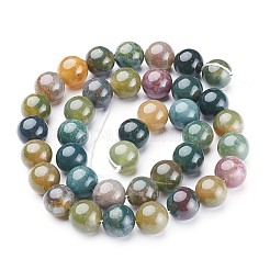 Natural Indian Agate Beads Strands&nbsp;GSR10mmC002