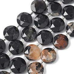 Natural Tourmaline Beads Strands&nbsp;G-C116-A157-01