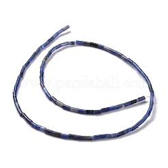 Natural Sodalite Beads Strands&nbsp;G-M389-11