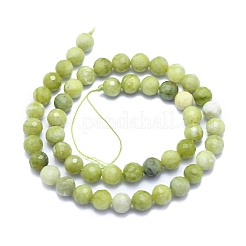 Natural TaiWan Jade Beads Strands&nbsp;G-K310-A23-8mm