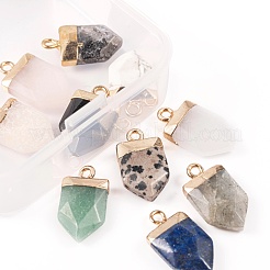 10Pcs 10 Style Natural Gemstone Pointed Pendants&nbsp;G-LS0002-04
