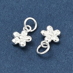 925 Sterling Silver Charms&nbsp;STER-A050-03A-S