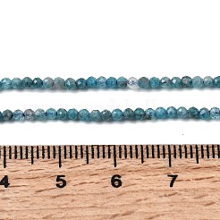 Natural Apatite Beads Strands&nbsp;G-H336-A04-01