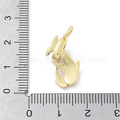 Brass Micro Pave Cubic Zirconia Pendants&nbsp;KK-Z098-07G-02