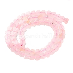 Natural Rose Quartz Beads Strands&nbsp;G-M403-A06-02