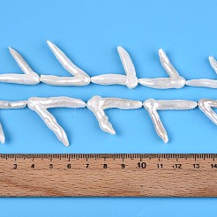 Natural Baroque Pearl Keshi Pearl Beads Strands&nbsp;PEAR-N021-16A