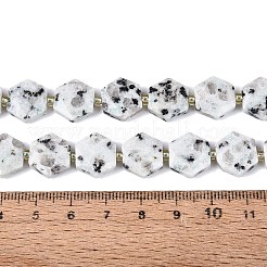 Natural Sesame Jasper Beads Strands&nbsp;G-N368-01A-19