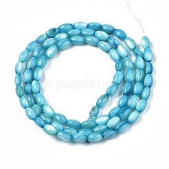 Freshwater Shell Beads Strands&nbsp;SHEL-T009-B15-05