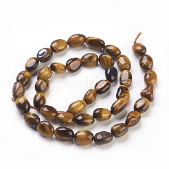Natural Gemstone Beads Strands&nbsp;G-F575-01