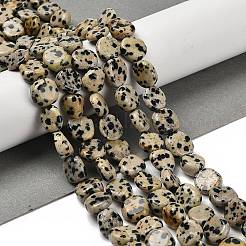 Natural Dalmatian Jasper Beads Strands&nbsp;LS-G-P497-01E-80
