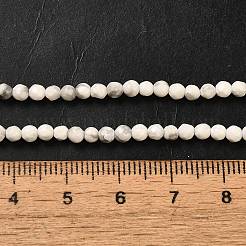 Natural Howlite Beads Strands&nbsp;G-Z068-B05-01