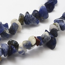 Natural Sodalite Beads Strands&nbsp;G-F328-25